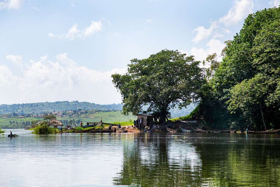 Essential Uganda: Gorillas and Chimps - Intrepid Travel - Uganda - Image 10