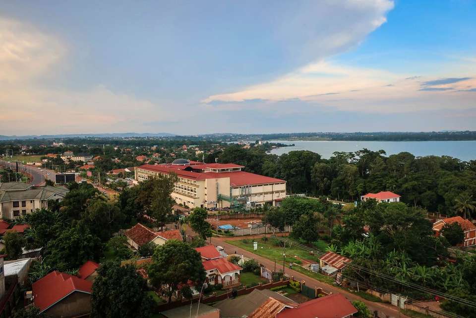 Essential Uganda: Gorillas and Chimps - Intrepid Travel - Uganda - Image 13