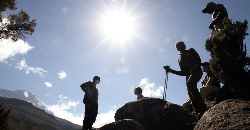 Ethical & Luxury Kilimanjaro Climb Lemosho Route 8 Days - Safarihub - Tanzania - Image 5