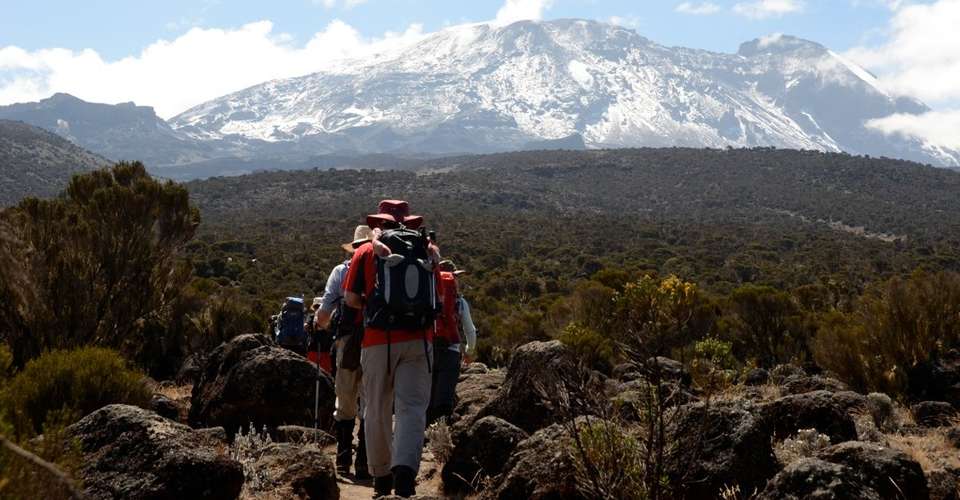 Ethical & Luxury Kilimanjaro Climb Lemosho Route 8 Days - Safarihub - Tanzania - Image 6