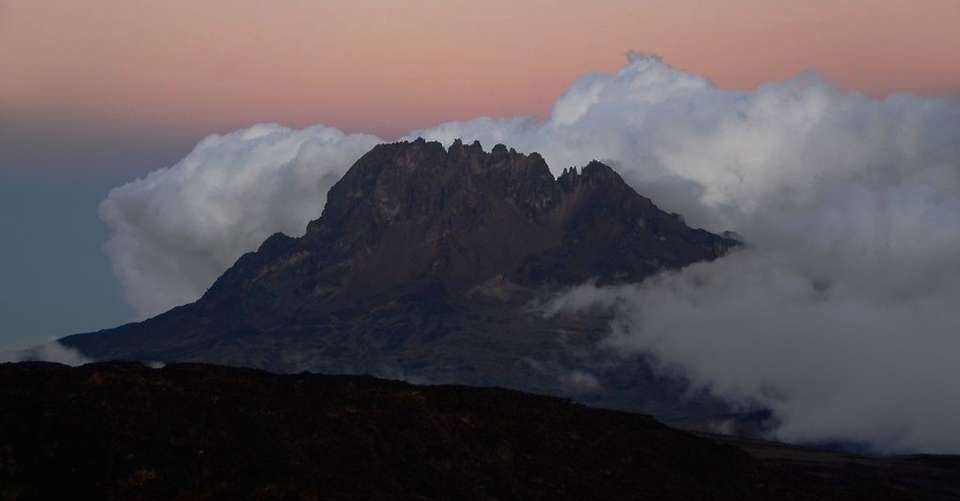 Ethical & Luxury Kilimanjaro Climb Lemosho Route 8 Days - Safarihub - Tanzania - Image 8