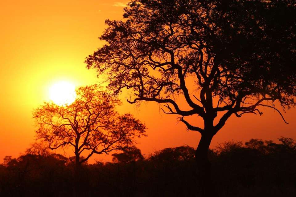 Etosha Safari Adventure, Self-drive - Destination Services - Namibia - Image 7