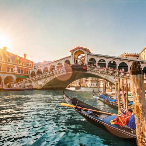 European Dream - Premium