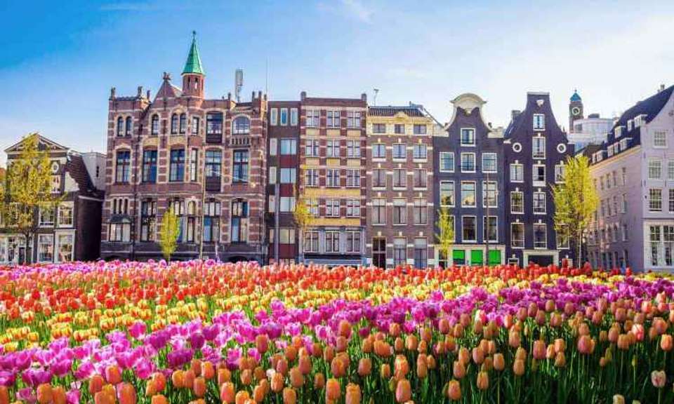 European Vistas - Expat Explore - Holland