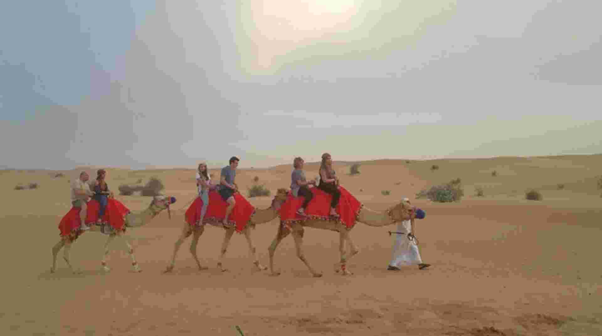 Evening Desert Safari in Dubai With Shows & Buffet Dinner