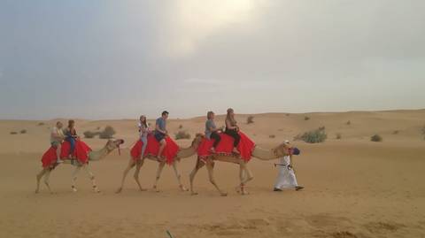 Dune Bashing Tour: Evening Desert Safari In Dubai With Shows & Buffet Dinner