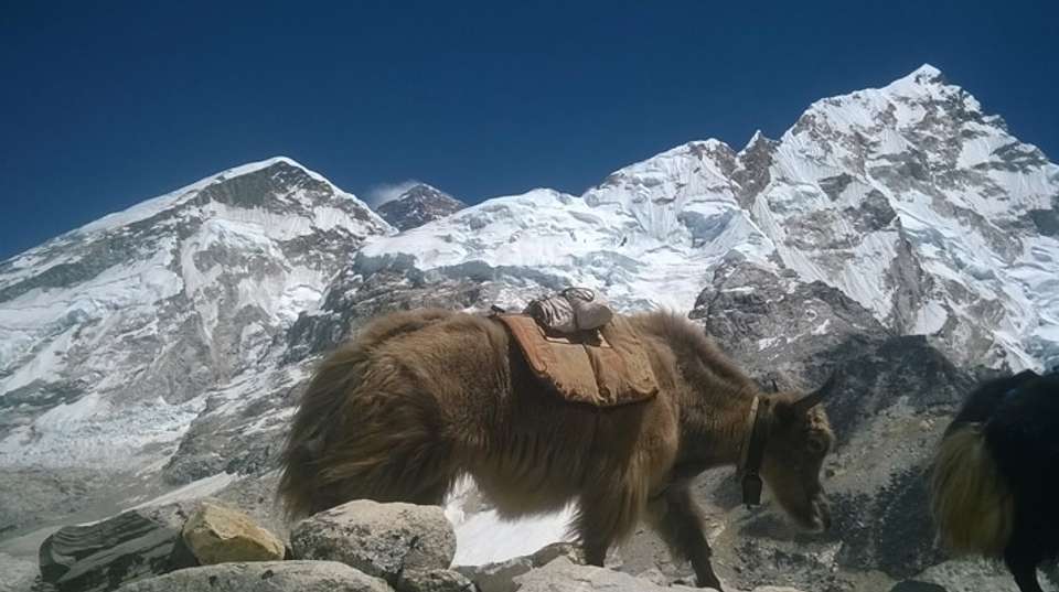 Everest 3 Pass Trek - 16 days - Base Camp Adventure Pvt. Ltd. - Nepal - Image 2