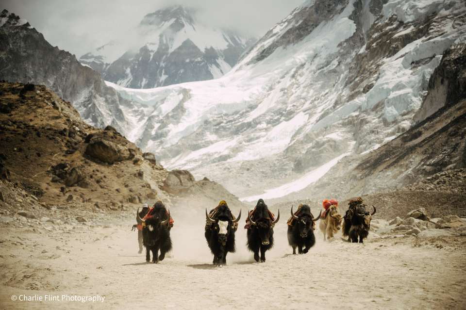 Everest & Gokyo Lakes Circuit - Exodus Adventure Travels - Nepal - Image 19