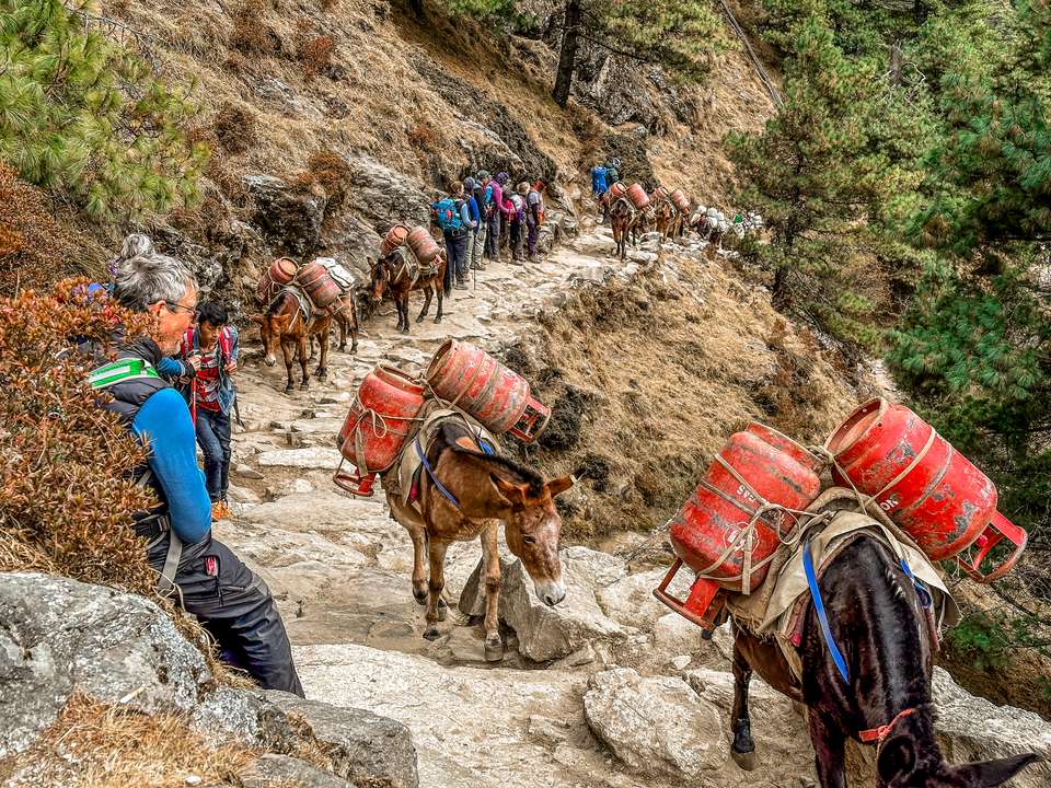 Everest & Gokyo Lakes Circuit - Exodus Adventure Travels - Nepal - Image 12
