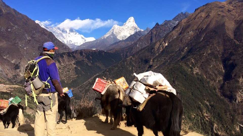 Everest-at-a-glance Trek - Buddha Treks And Expedition - Nepal - Image 9