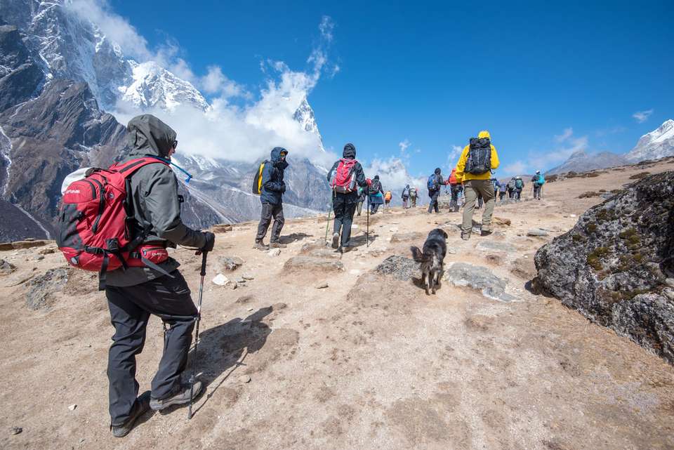 Everest Base Camp & Annapurna Circuit Trek - Intrepid Travel - Nepal - Image 5