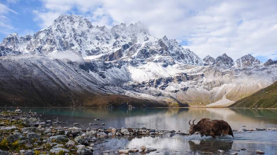 Everest Base Camp, Chola Pass & Gokyo Trek - undefined - Image 3