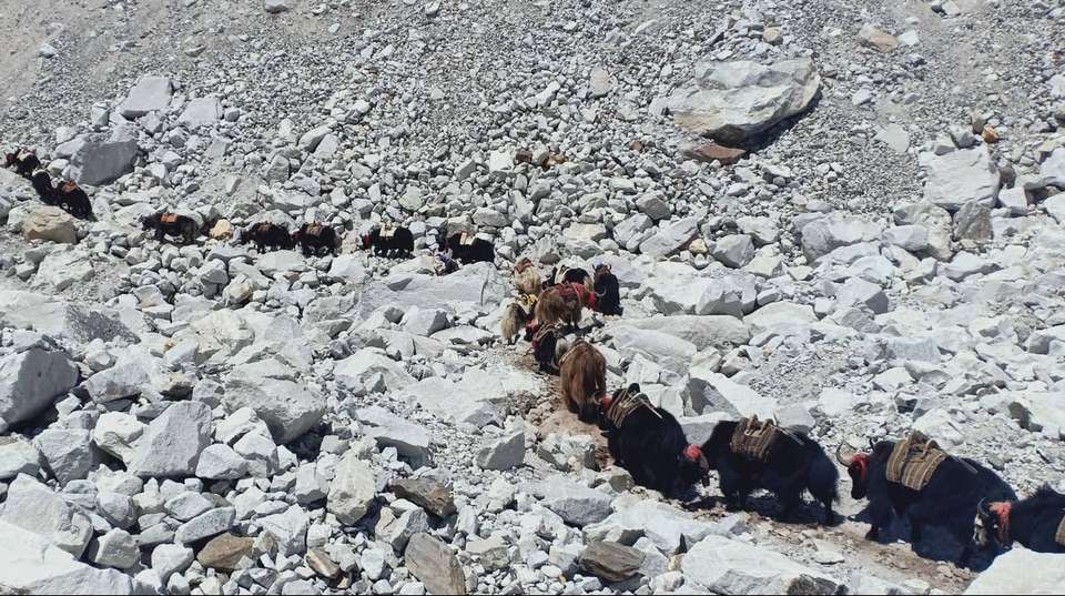 Everest Base Camp Trek - Himalayan Trekking And Tours (p) Ltd - Nepal - Image 9