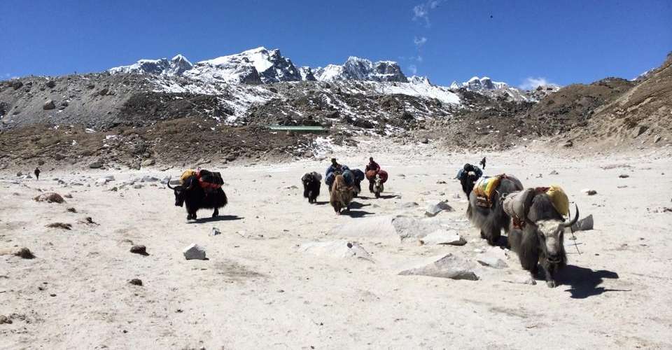 Everest Base Camp trek - Green Valley Nepal Treks Pvt Ltd - Nepal - Image 3