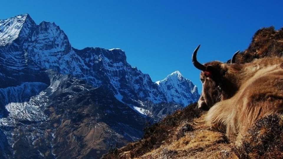 Everest Panorama Trekking - Adventure Bound - Nepal - Image 2
