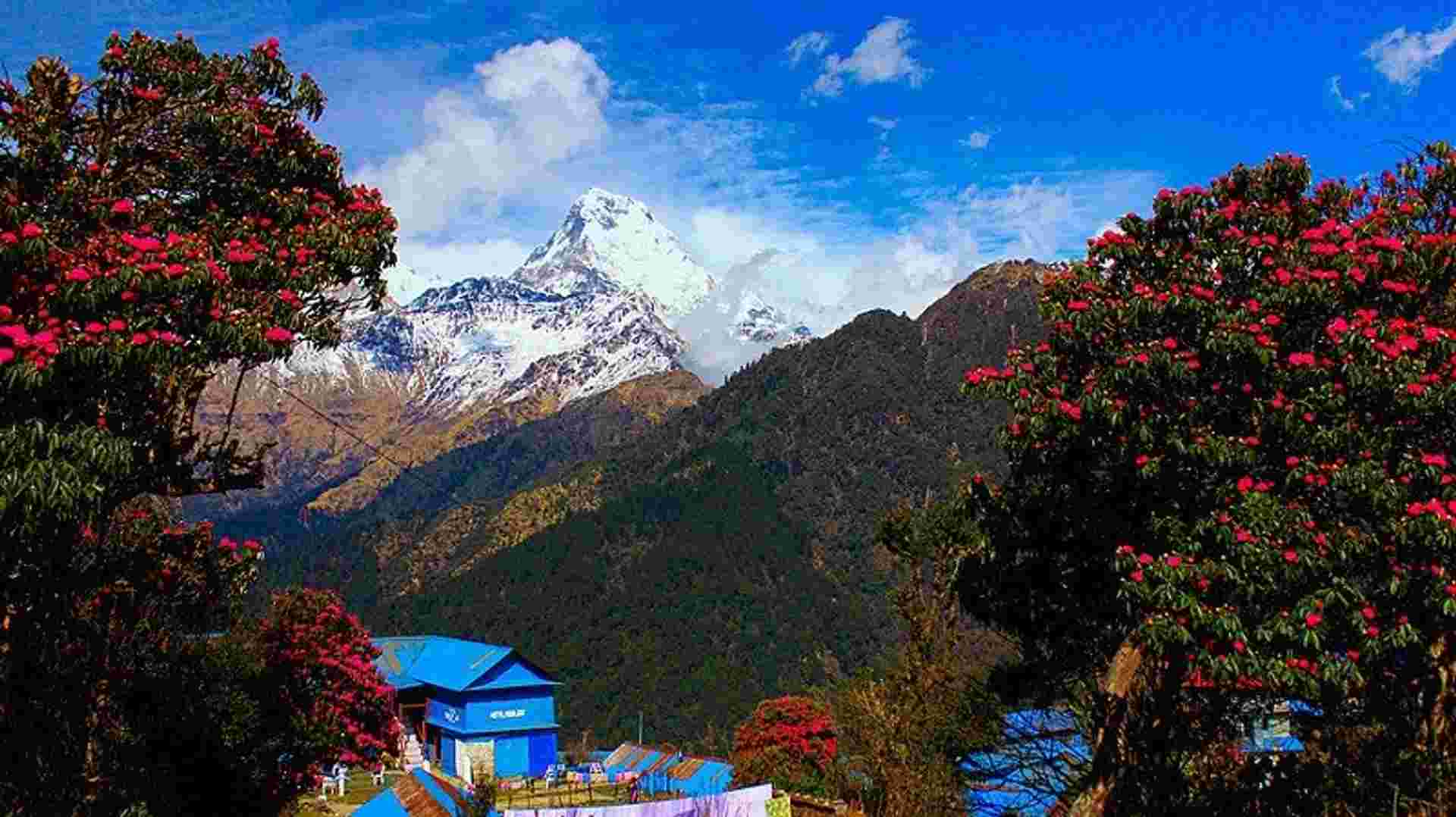 Everest Panorama View Trek