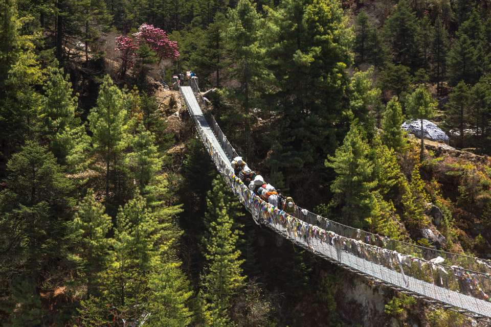 Everest Treks in Comfort - Exodus Adventure Travels - Nepal - Image 19
