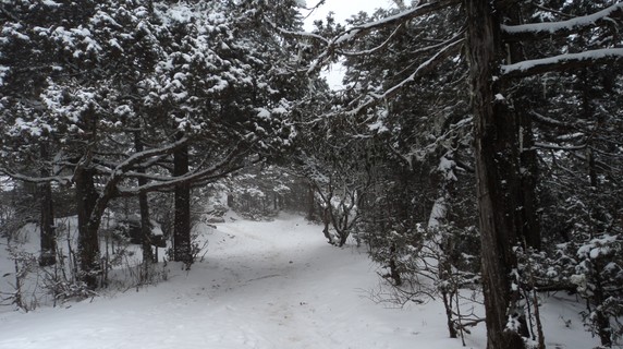 Image 5 of 5