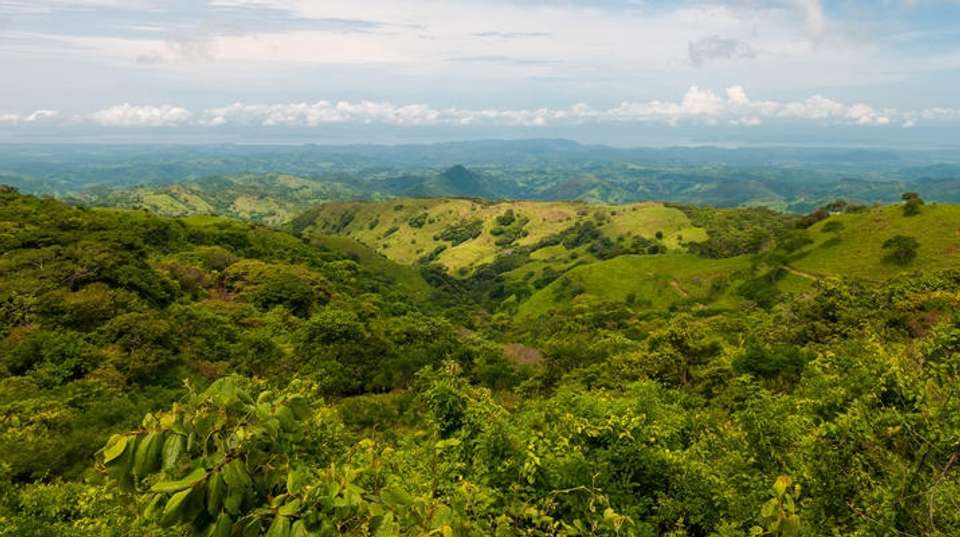 Exclusive Family Expedition in Paradise - Amazilia Travel - Costa Rica - Image 4