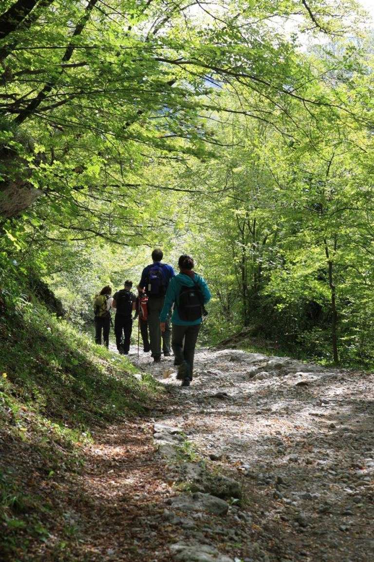 Exclusive Group (min 10 Pax): Adventure In Croatia: Hike, Eat & Enjoy - 8 days