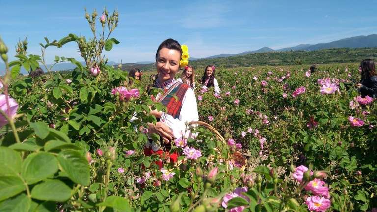 Bulgaria Active and outdoor Tour: Exclusive Group (min 10 Pax): Bulgarian Culinary Wine Tour