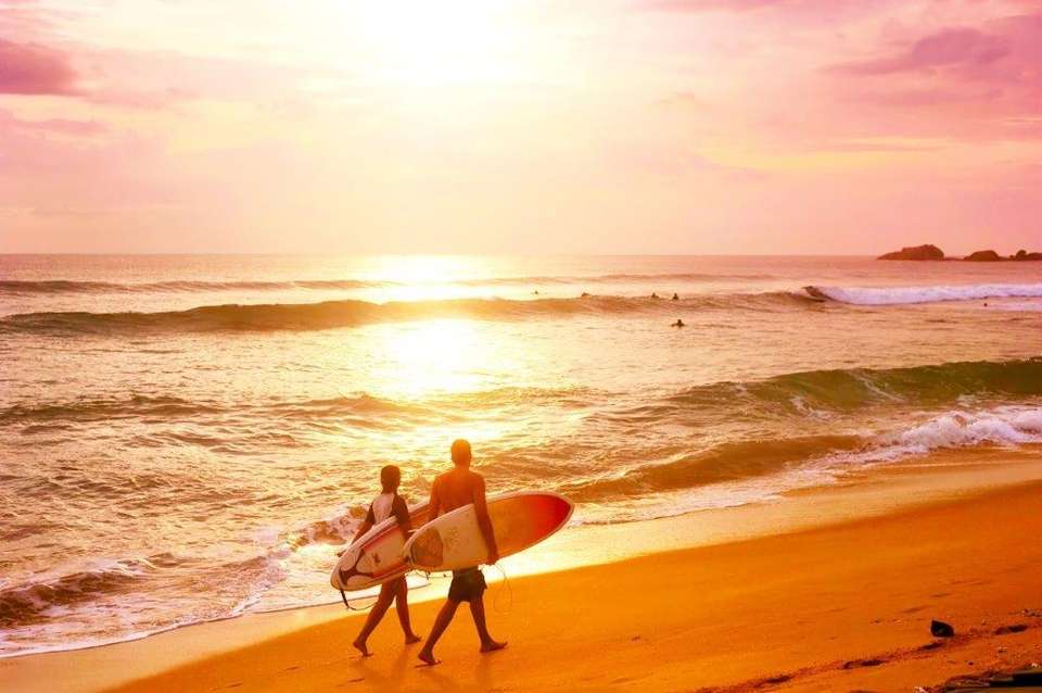 Sri Lanka Highlights: Tea, Temples & Safari, Private Tour - Destination Services - Sri Lanka - Image 3