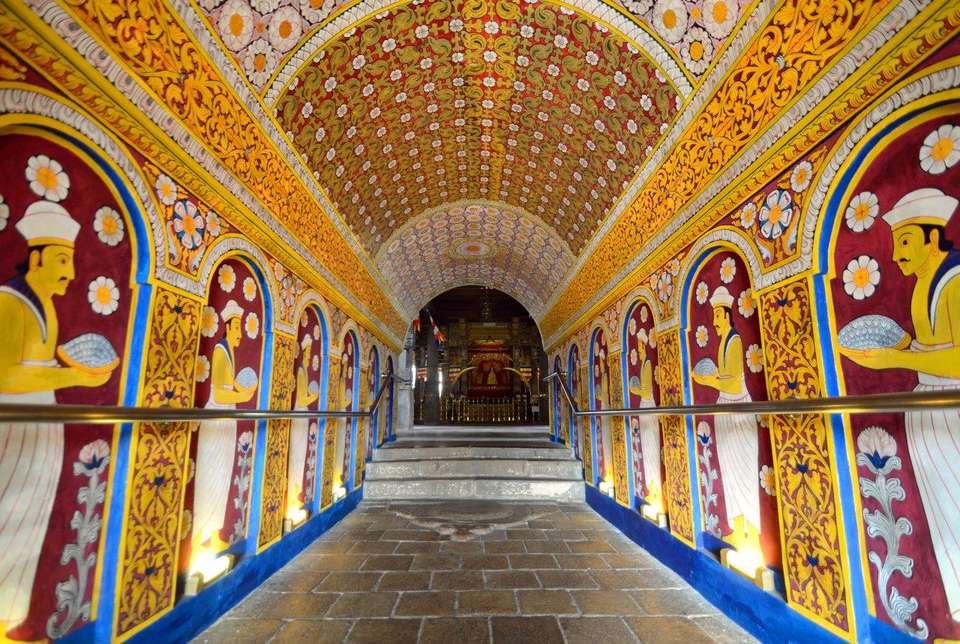 Sri Lanka Highlights: Tea, Temples & Safari, Private Tour - Destination Services - Sri Lanka - Image 7
