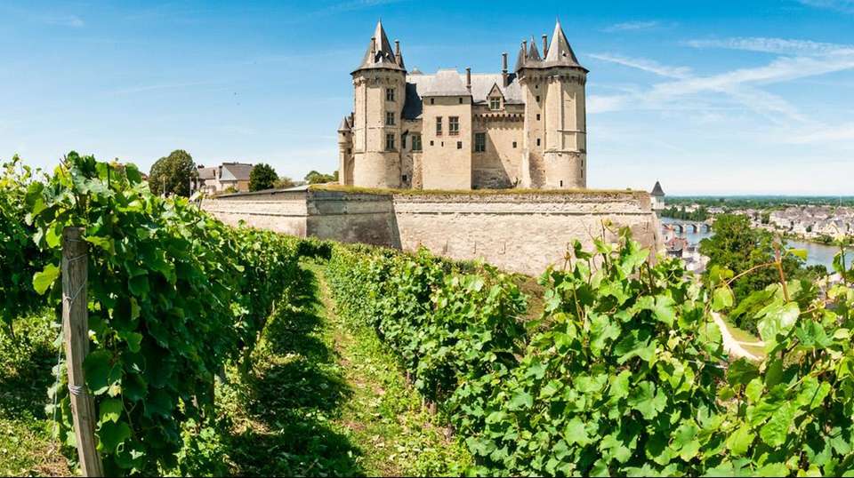 Exclusive Wine Day Tour in Loire Valley - Go Go Tours - Privat Tours In Paris - France - Image 3