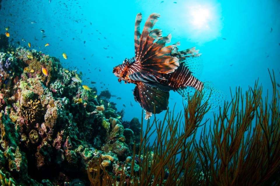 Exotic Gili Islands, Private Tour - undefined - Image 8