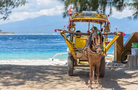 Indonesia Travel Deals: Exotic Gili Islands, Private Tour