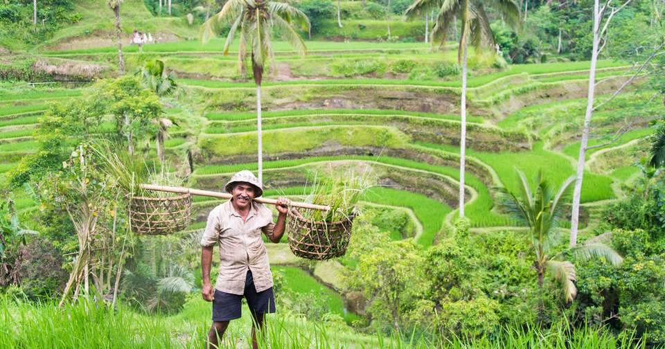 Exotic Java and Bali - Explore - Indonesia - Image 2