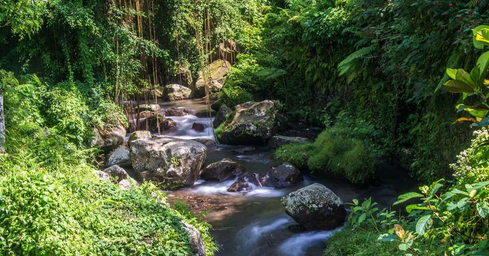 Exotic Java and Bali - Explore - Indonesia - Image 4