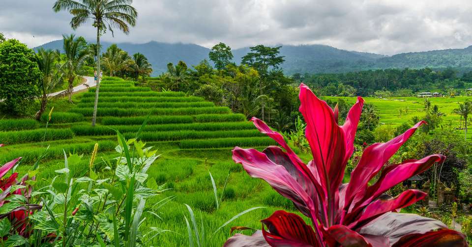 Exotic Java and Bali - Explore - Indonesia - Image 12