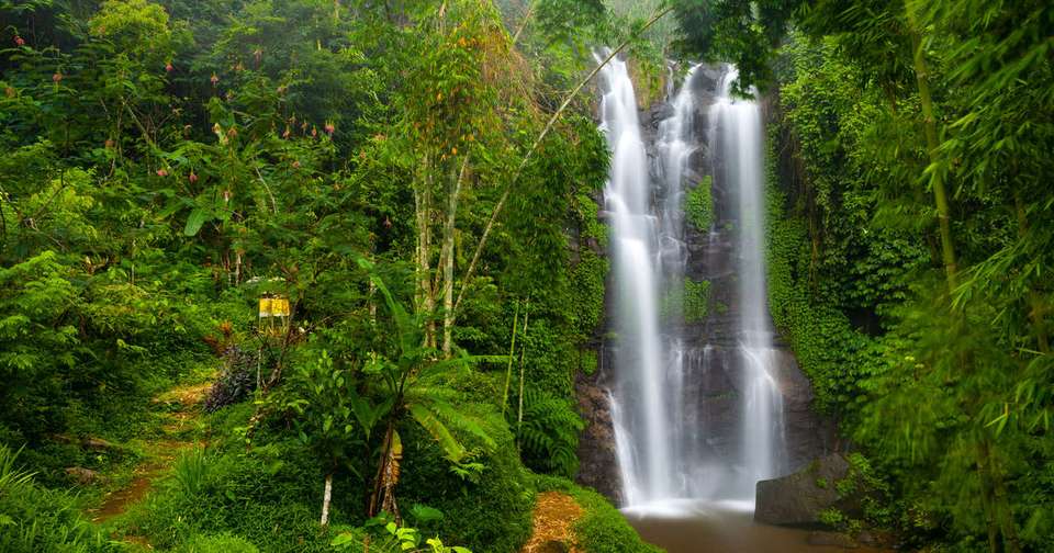Exotic Java and Bali - Explore - Indonesia - Image 14