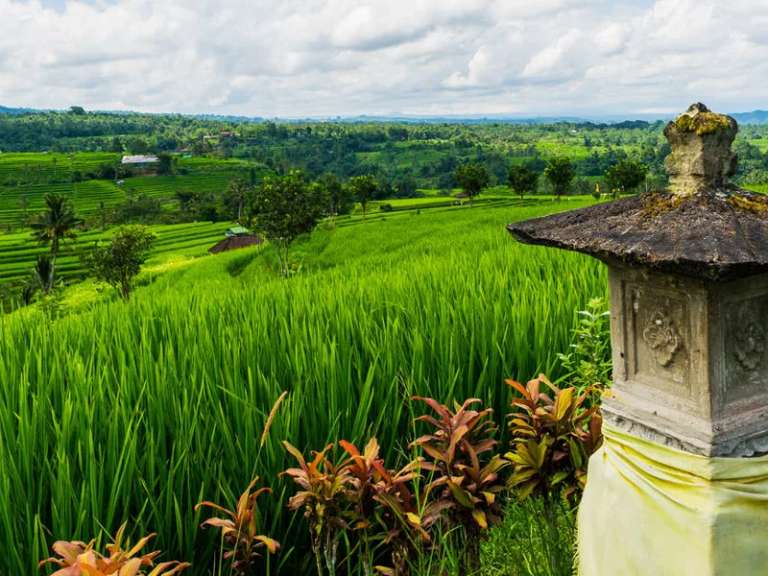Exotic Java and Bali