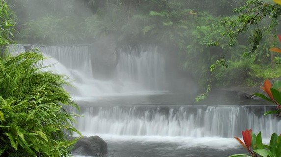 Image 4 of 16