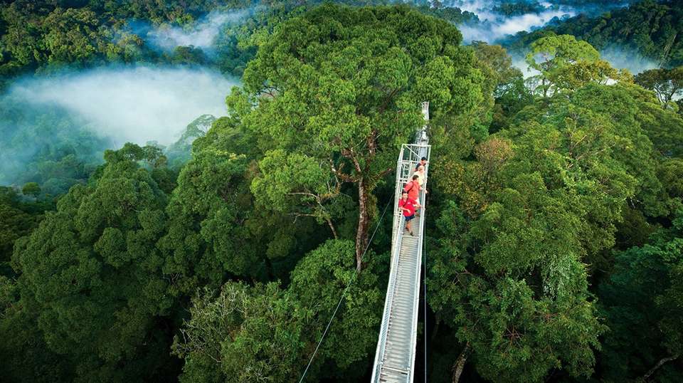 Exotic Landscapes of Costa Rica - Destiny Travel Costa Rica - Costa Rica - Image 8