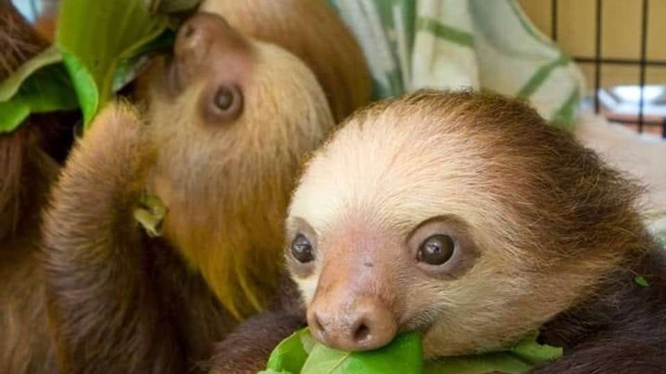 Exotic Landscapes of Costa Rica - Destiny Travel Costa Rica - Costa Rica - Image 12