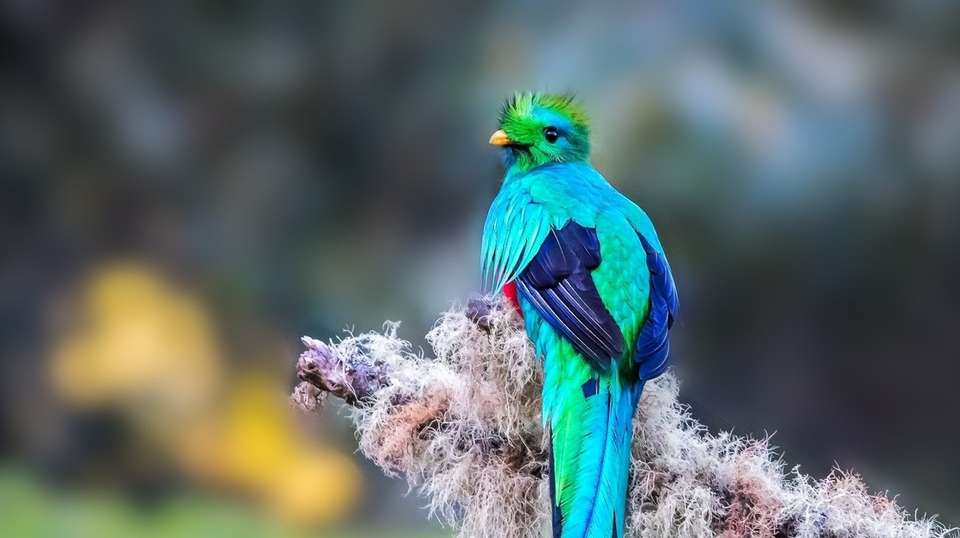 Exotic Landscapes of Costa Rica - Destiny Travel Costa Rica - Costa Rica - Image 14