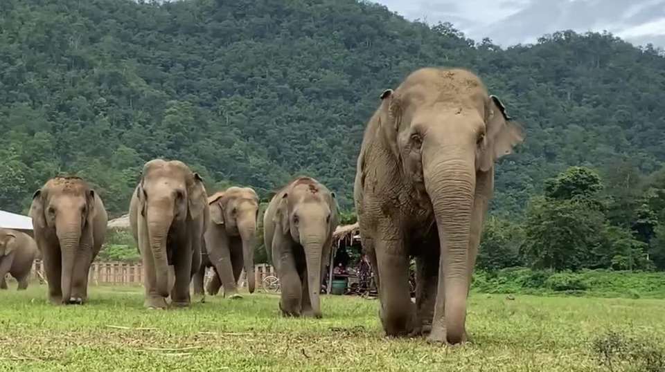 Exotic Thailand 13 Days - Kanchanaburi/ Chiang Mai/ Krabi - Prestigo Asia - Thailand