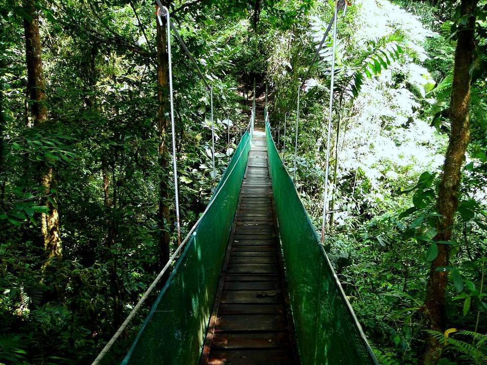 Experience Costa Rica’s Nature, French-speaking Guide - Destination Services - Costa Rica - Image 3