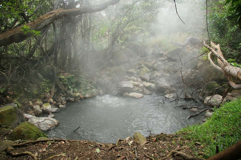 Experience Costa Rica’s Nature, French-speaking Guide - Destination Services - Costa Rica - Image 11