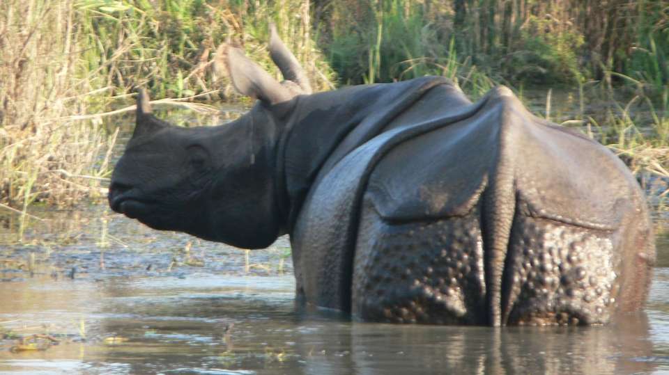 Experience Nepal - Ace The Himalaya - Nepal - Image 4