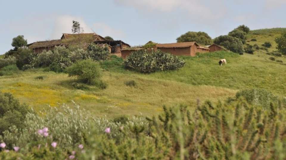 Experience Northern Morocco - Morocco Tours & Discoveries - Morocco - Image 1
