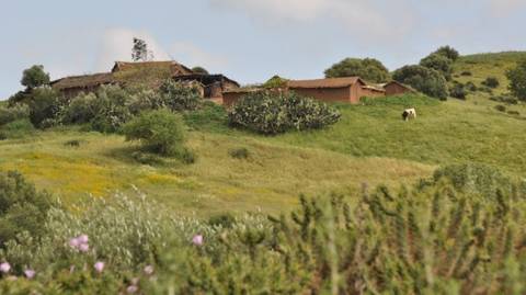 Experience Northern Morocco - April 2027