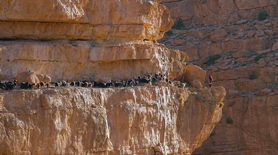 Experience Northern Morocco - Morocco Tours & Discoveries - Morocco - Image 5
