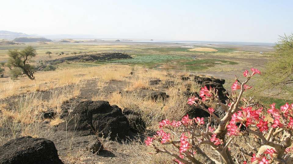 Experience Ol Doinyo Lengai - 3 Days - Greg Adventures - Tanzania