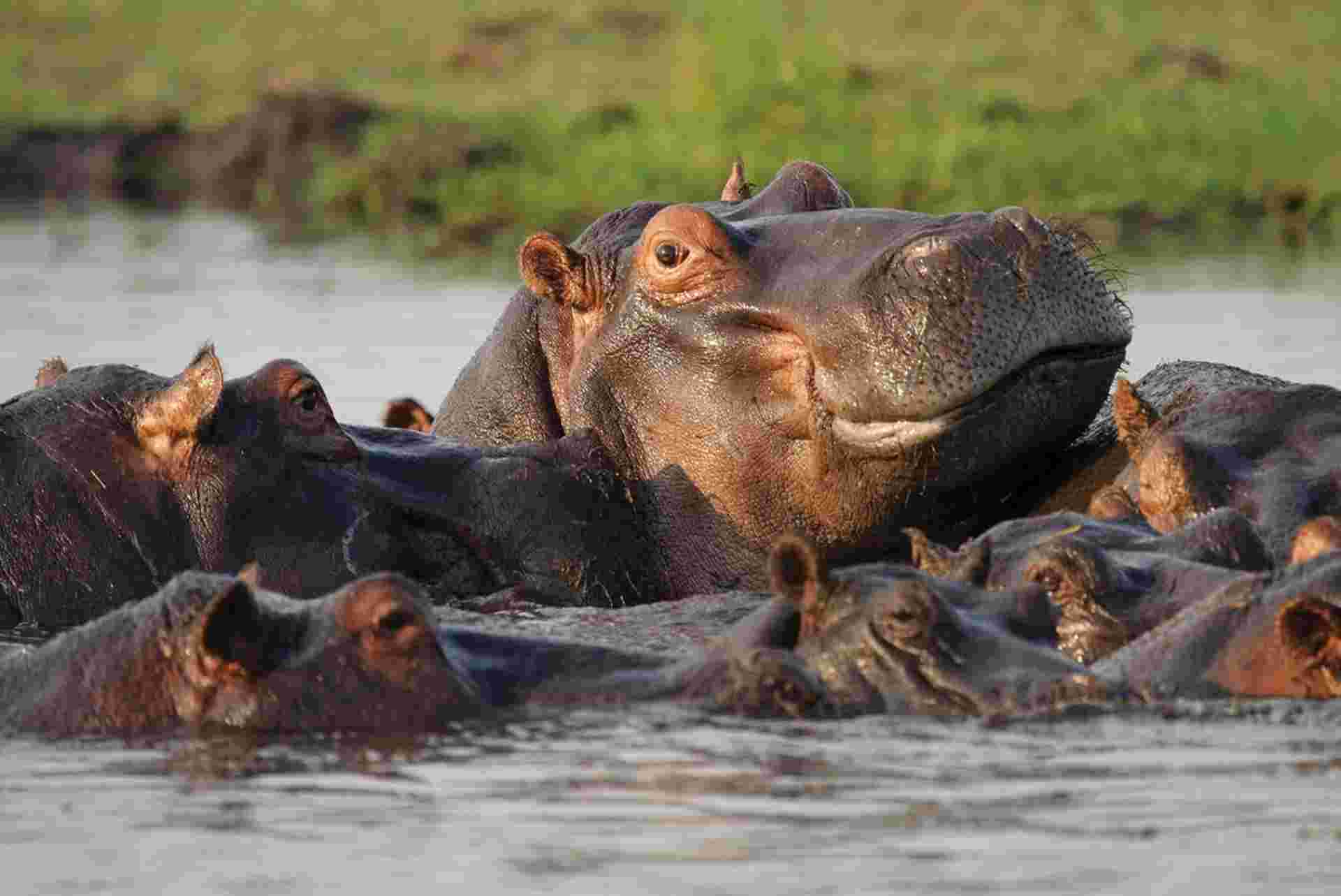 Experience Southern Africa