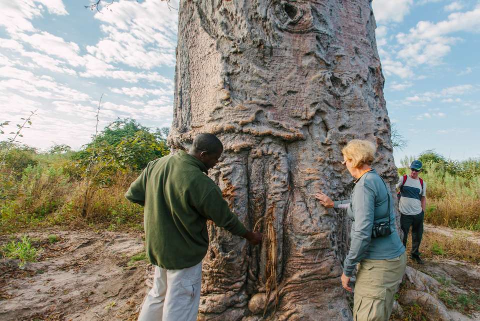 Experience Southern Africa - Intrepid Travel - South Africa