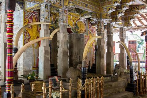 Sri Lanka Travel Deals: Experience The Central Hills